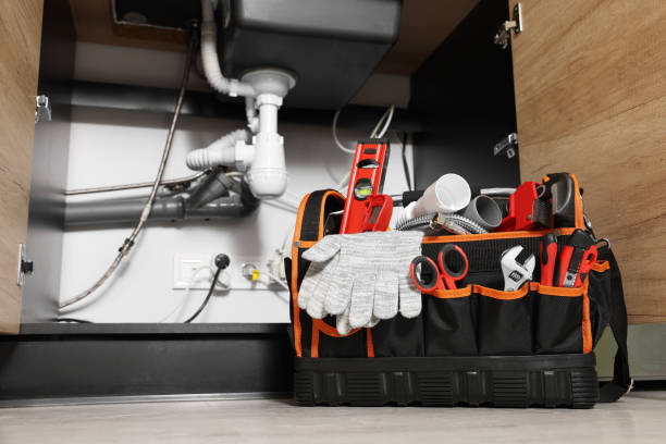 Best Same-Day Plumbing Service  in Whitmore Lake, MI