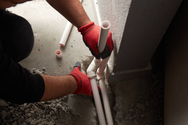 Best Affordable Plumbing Services  in Whitmore Lake, MI