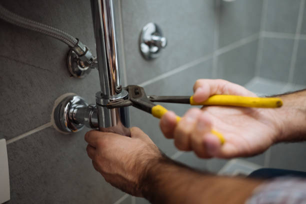 Best Plumbing Repair Near Me  in Whitmore Lake, MI